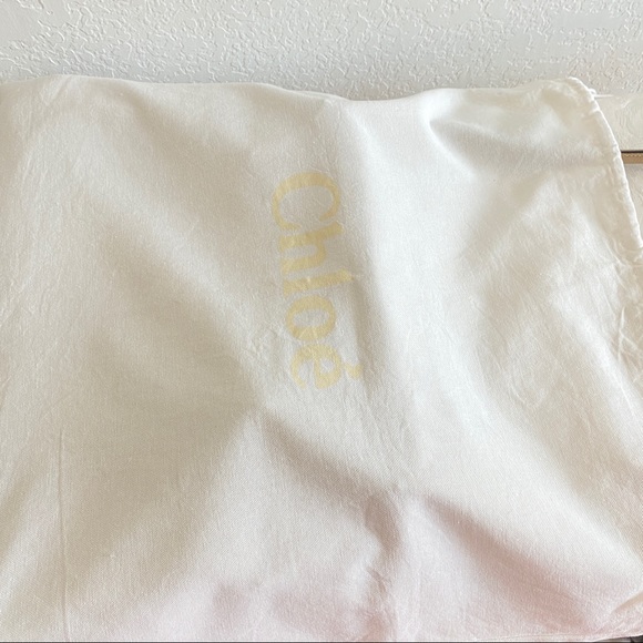 Chloé Dove Large Paraty bag - Picture 11 of 11